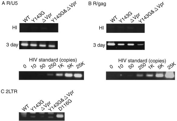 FIG. 6