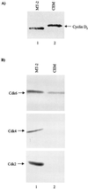 FIG. 6