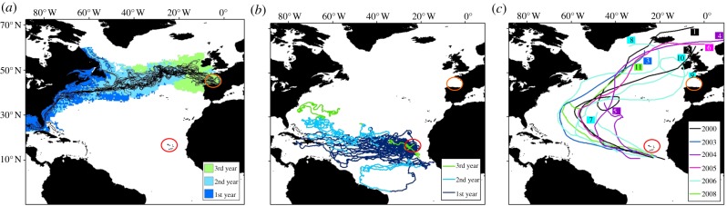 Figure 3.