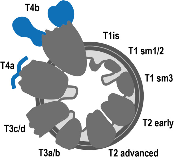 Fig. 11