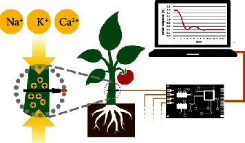 Figure 2