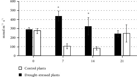 Figure 6