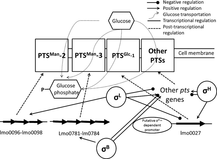 FIG 5