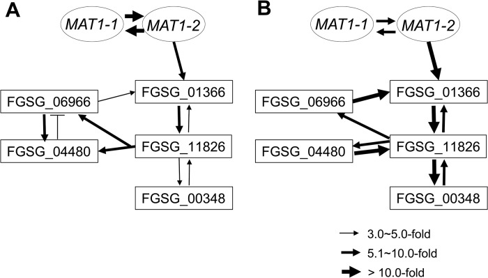 Fig 8