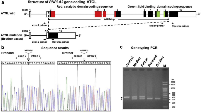 Figure 2