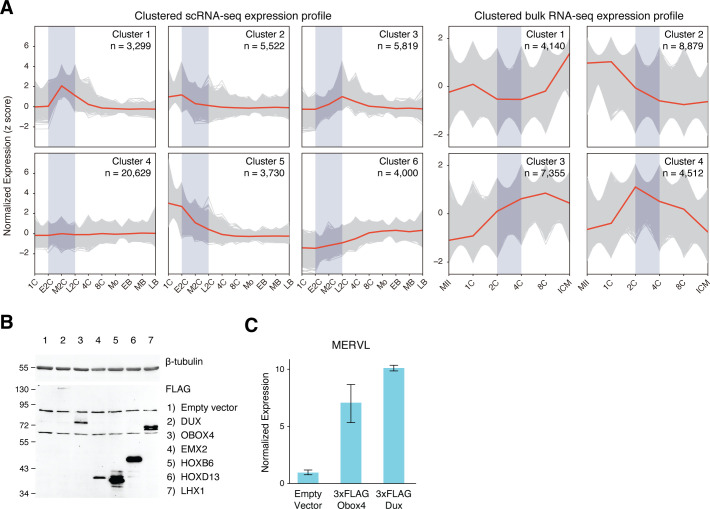 Figure 2—figure supplement 1.