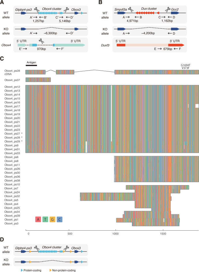 Figure 3—figure supplement 2.