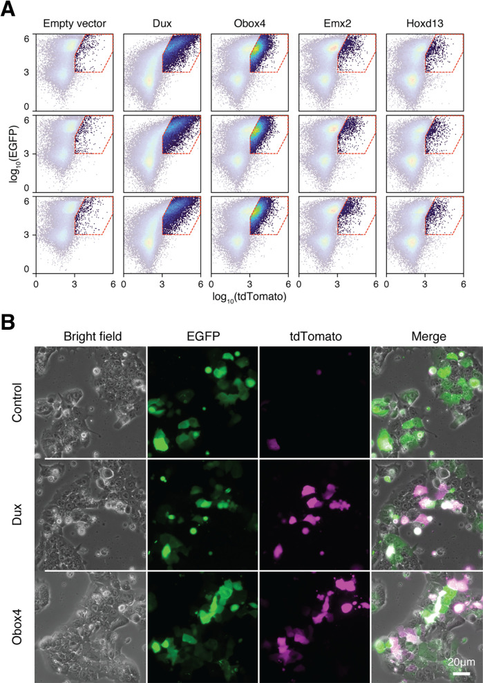 Figure 2—figure supplement 2.