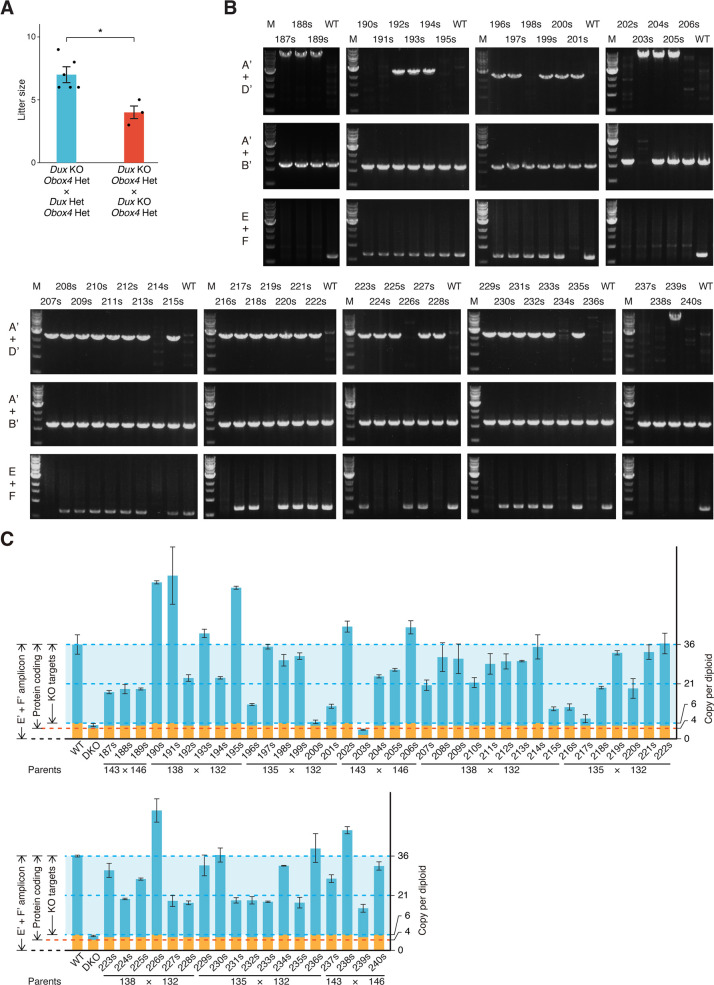 Figure 4—figure supplement 3.