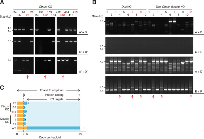 Figure 3—figure supplement 3.