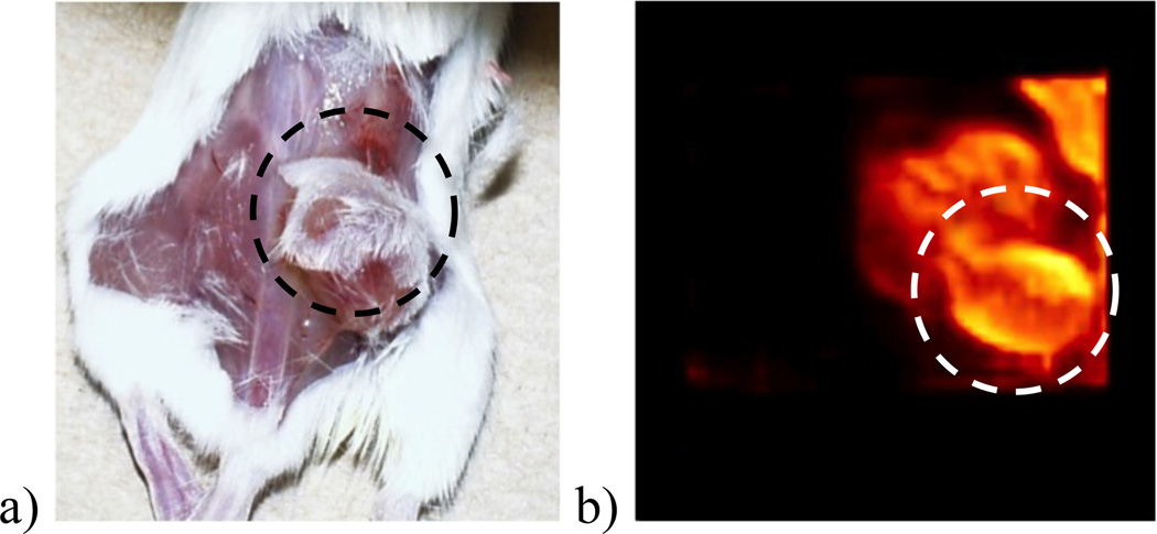 Figure 7