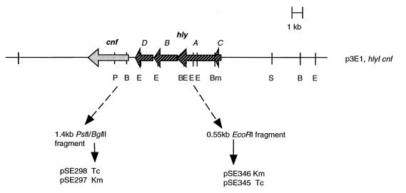 FIG. 5