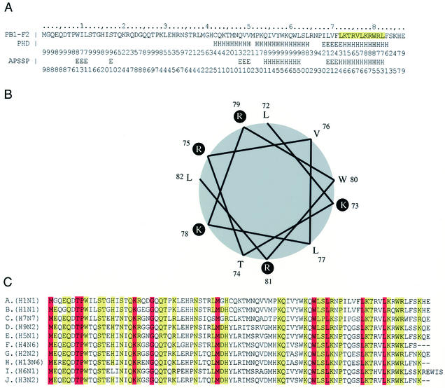 FIG. 1.