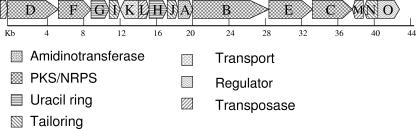 FIG. 2.