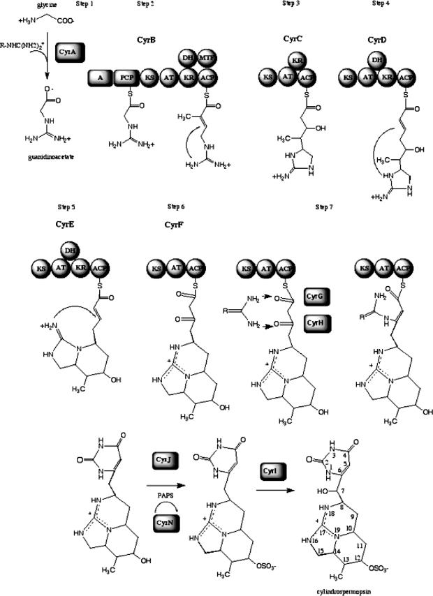 FIG. 1.