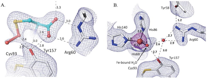 Figure 8