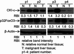 Figure 6