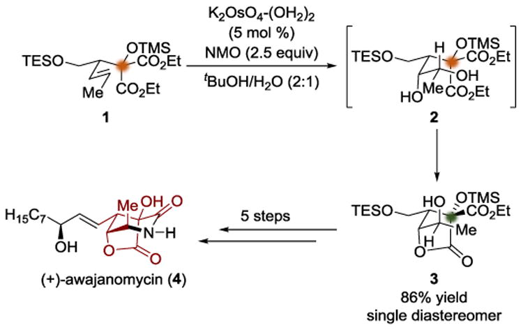 Scheme 1