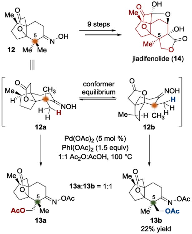 Scheme 3