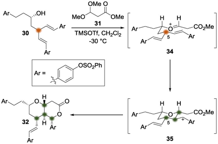 Scheme 8