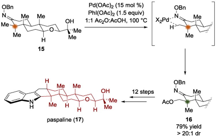 Scheme 4