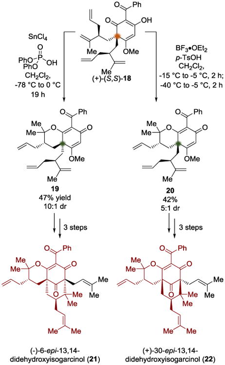 Scheme 5