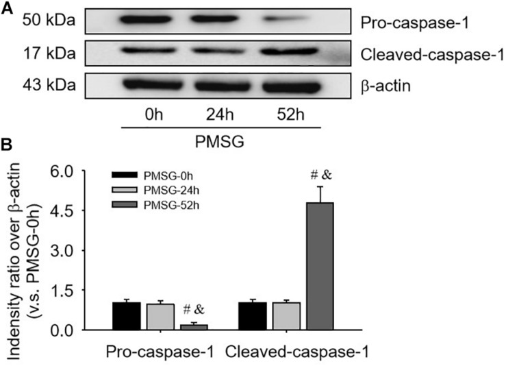 FIGURE 4