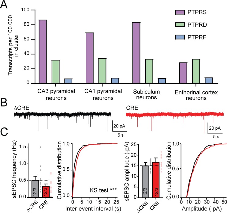 Figure 6—figure supplement 1.