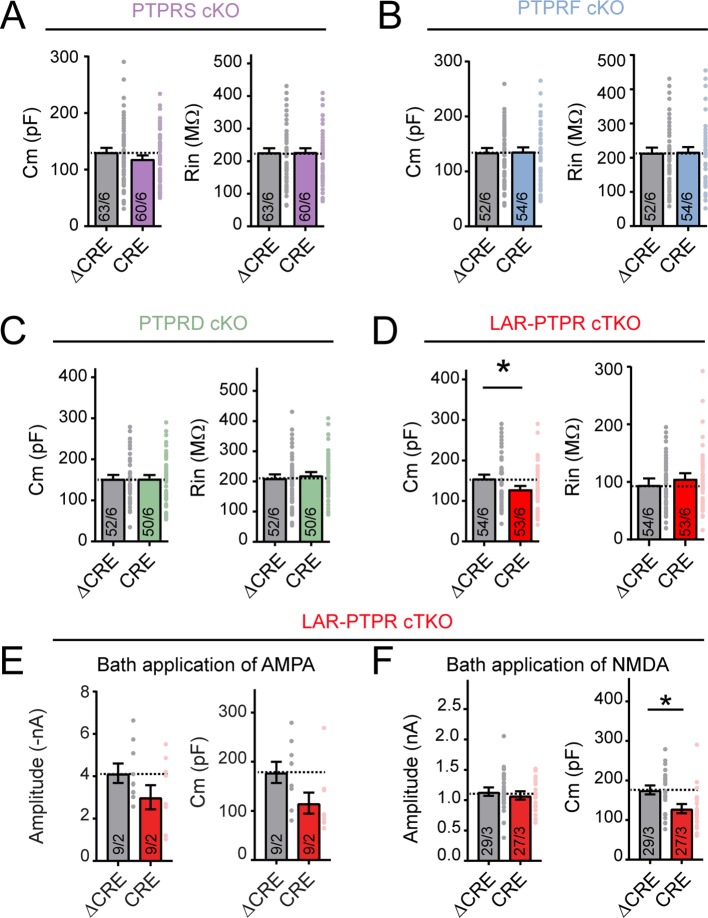 Figure 4—figure supplement 1.