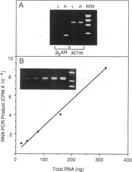 graphic file with name pnas01084-0283-a.jpg