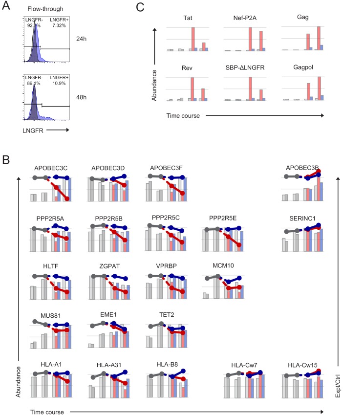 Figure 2—figure supplement 1.