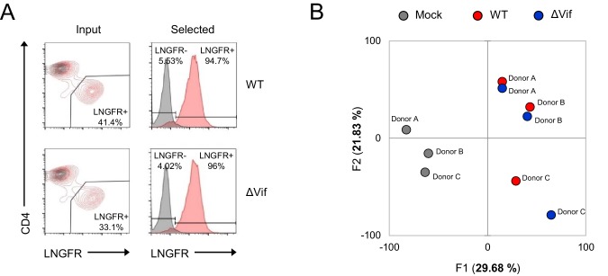 Figure 3—figure supplement 1.