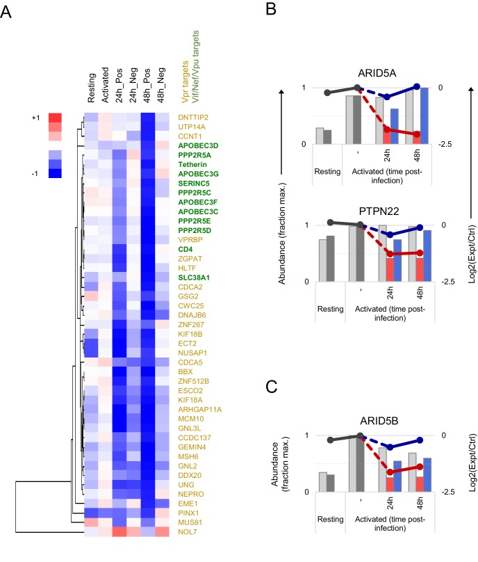 Figure 2—figure supplement 3.