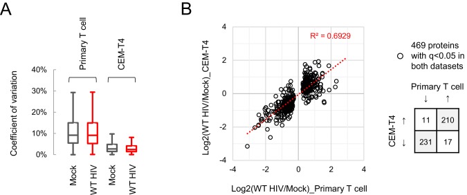 Figure 3—figure supplement 2.