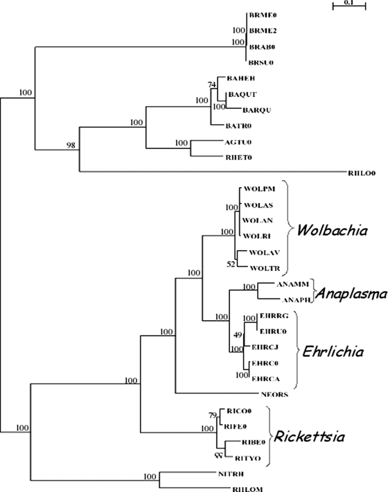 FIG. 2.