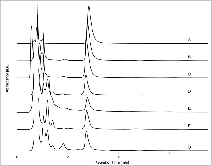 gabapentin peak action