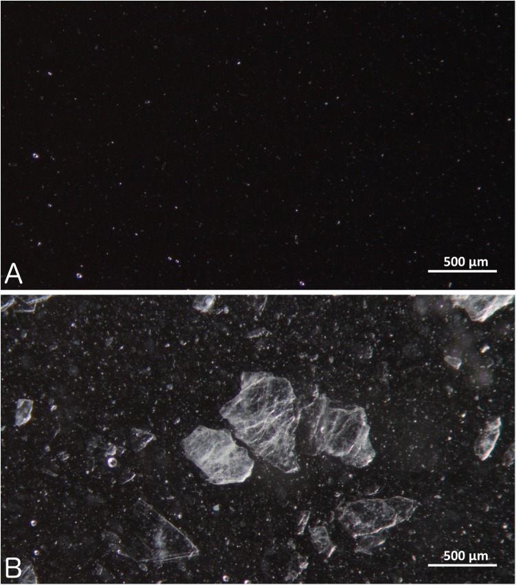 neurontin suspension