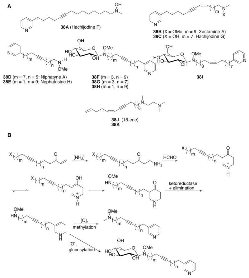 Fig. 42