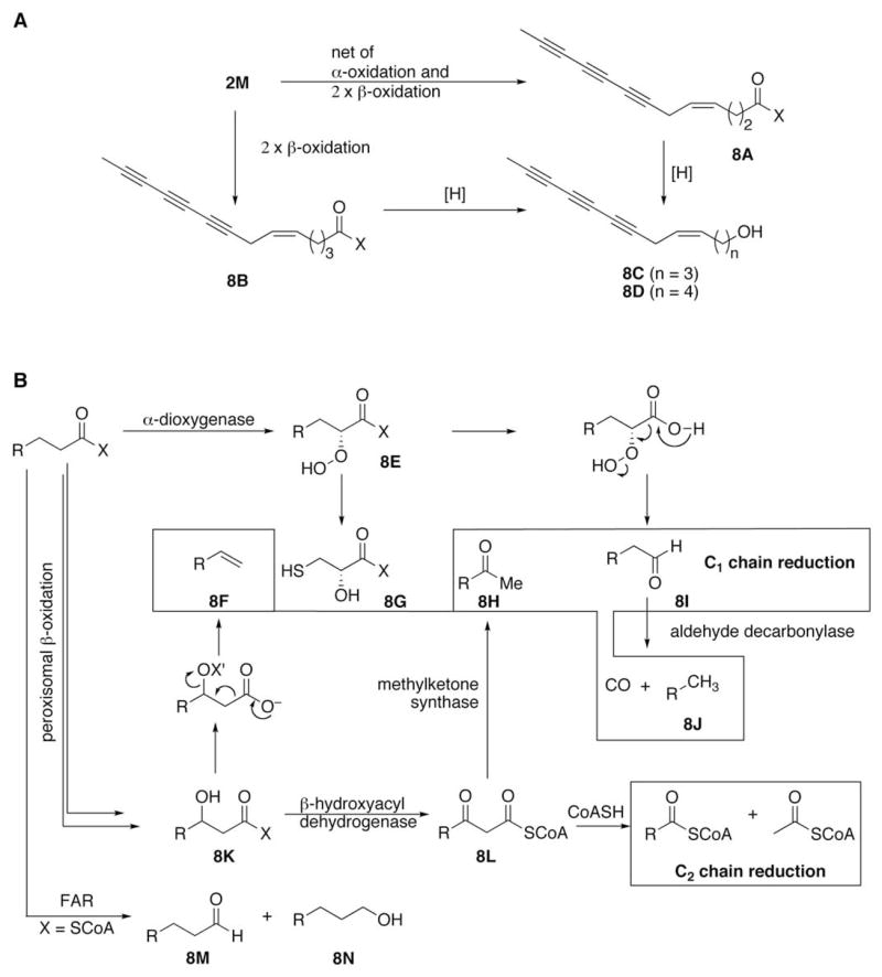 Fig. 11