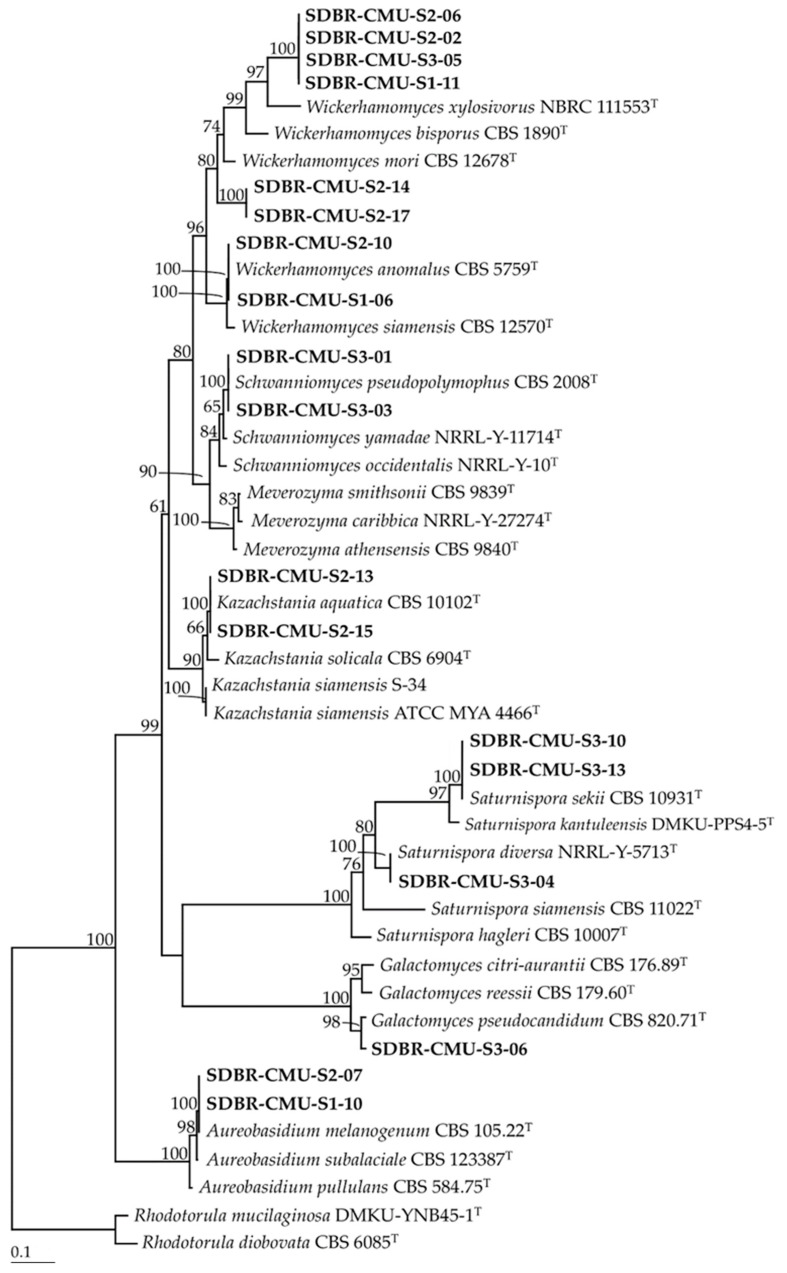 Figure 3