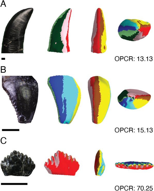 Fig. 1