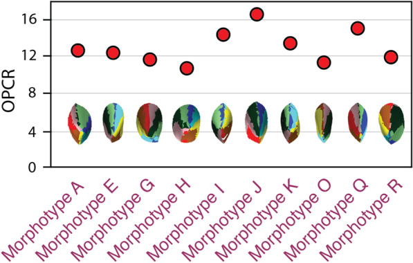 Fig. 3