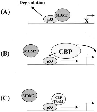 FIG. 8