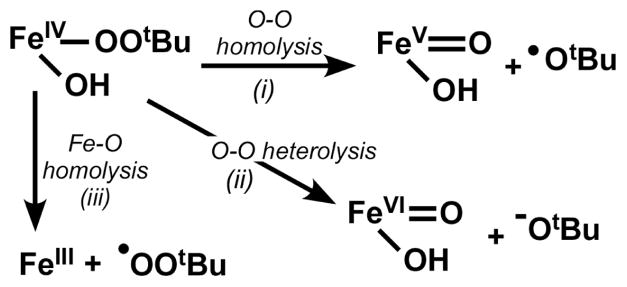 Scheme 3