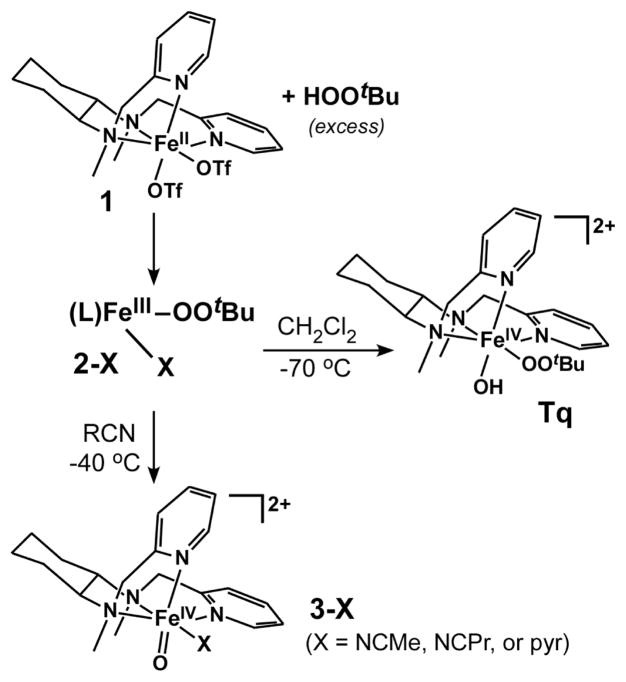 Scheme 1