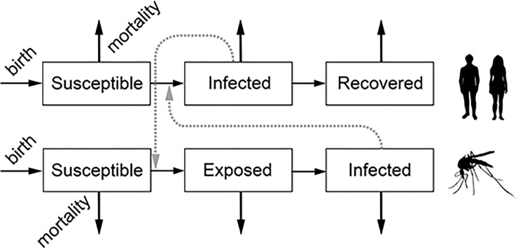 Fig 1