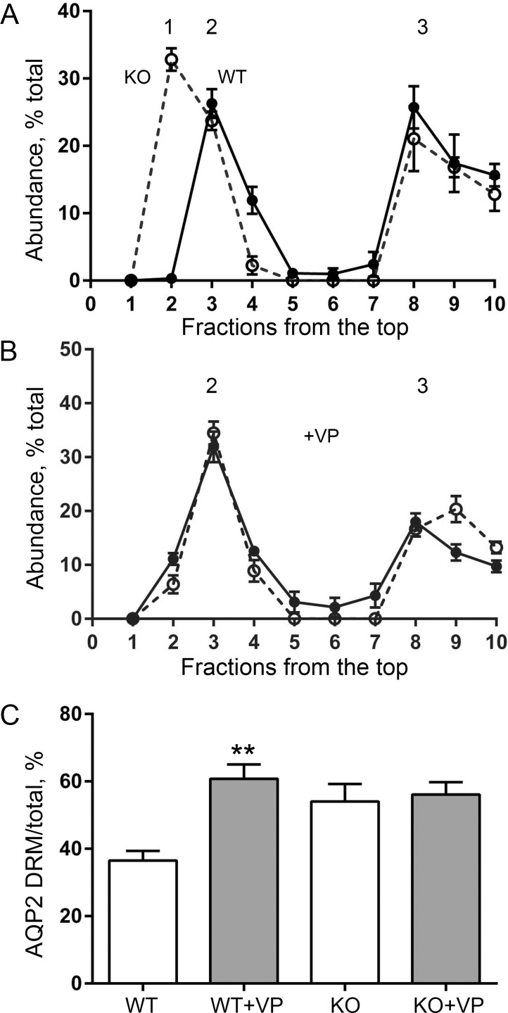 Fig 8