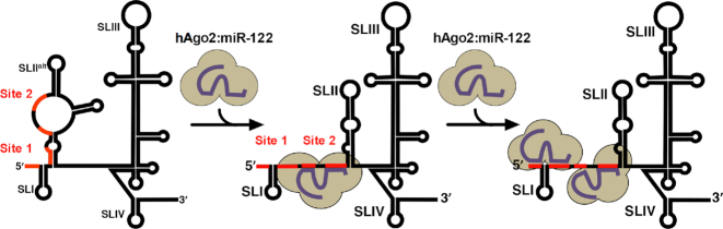 Figure 8.