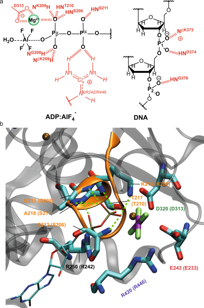 Fig. 7