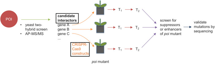 FIG 1